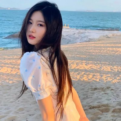 契诃夫之海鸥